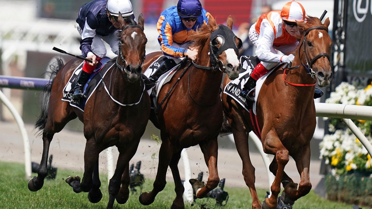 Australian-bred Vow and Declare wins Melbourne Cup